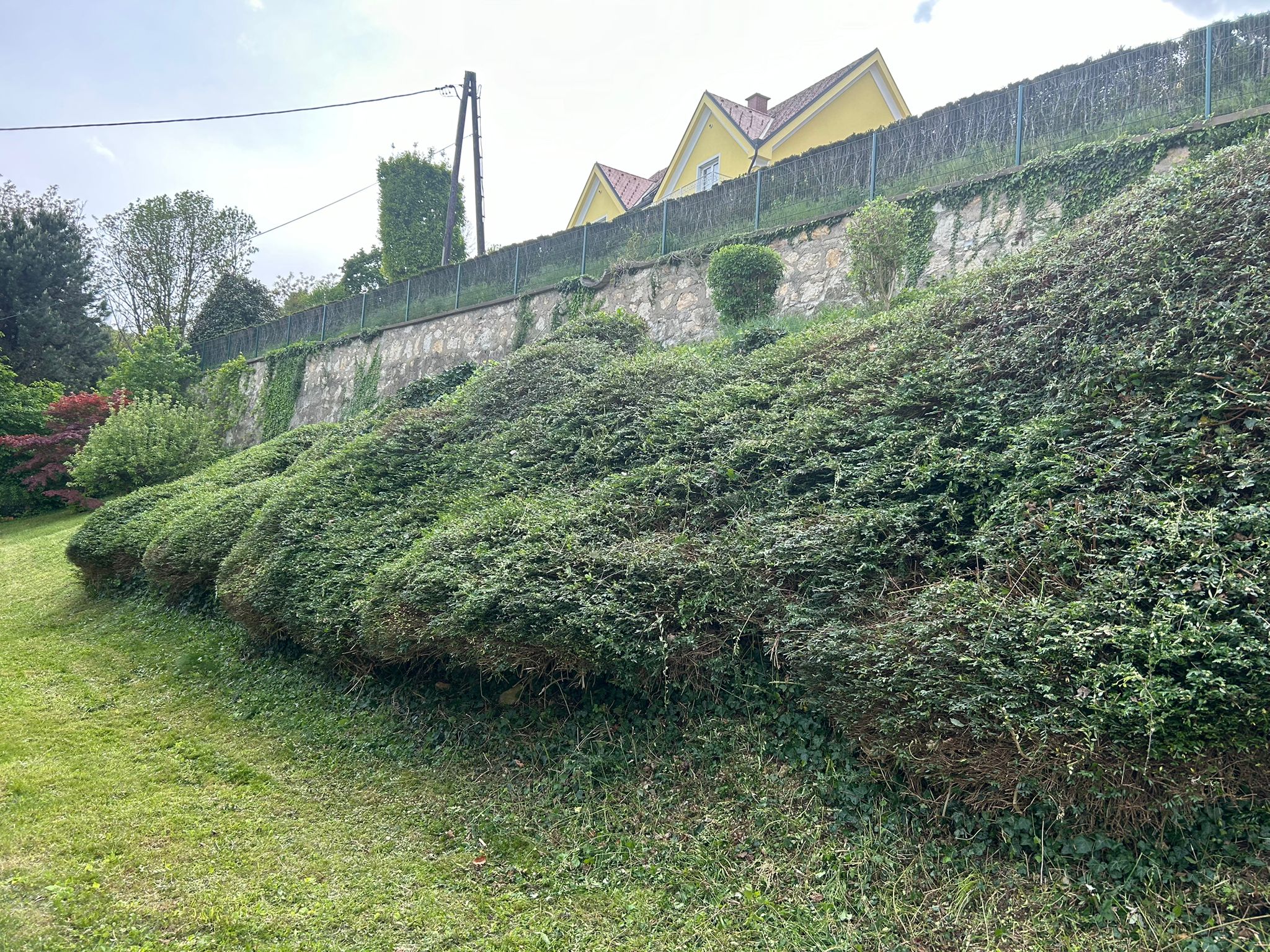 Galerie Foto 1