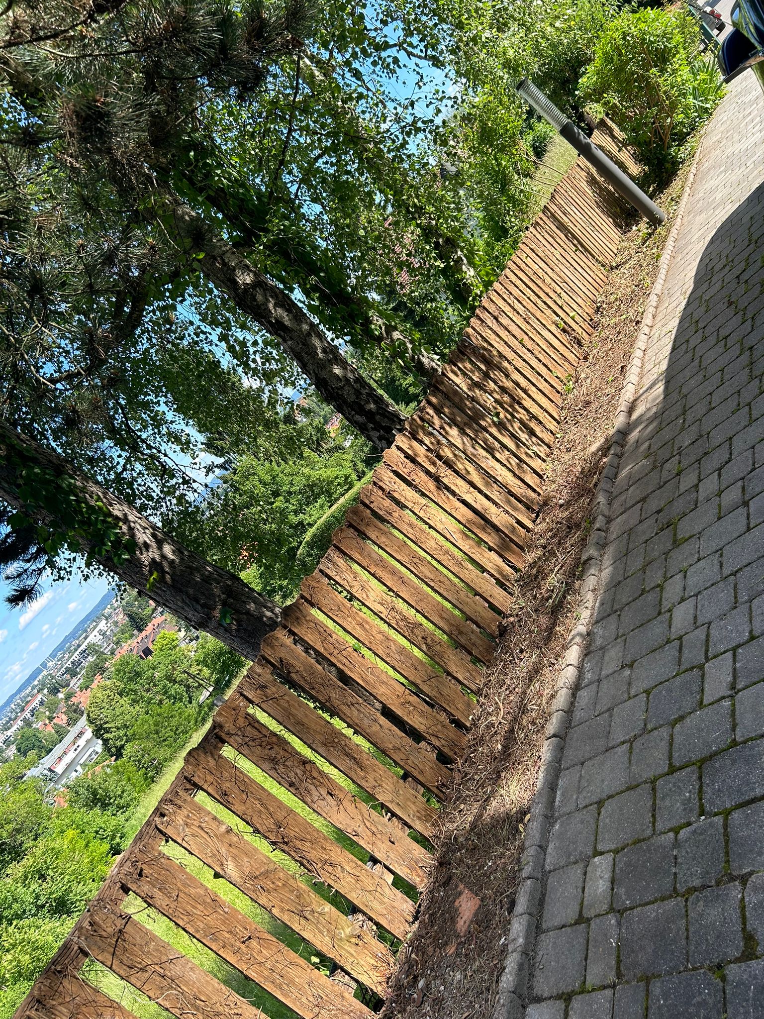 Galerie Foto 7