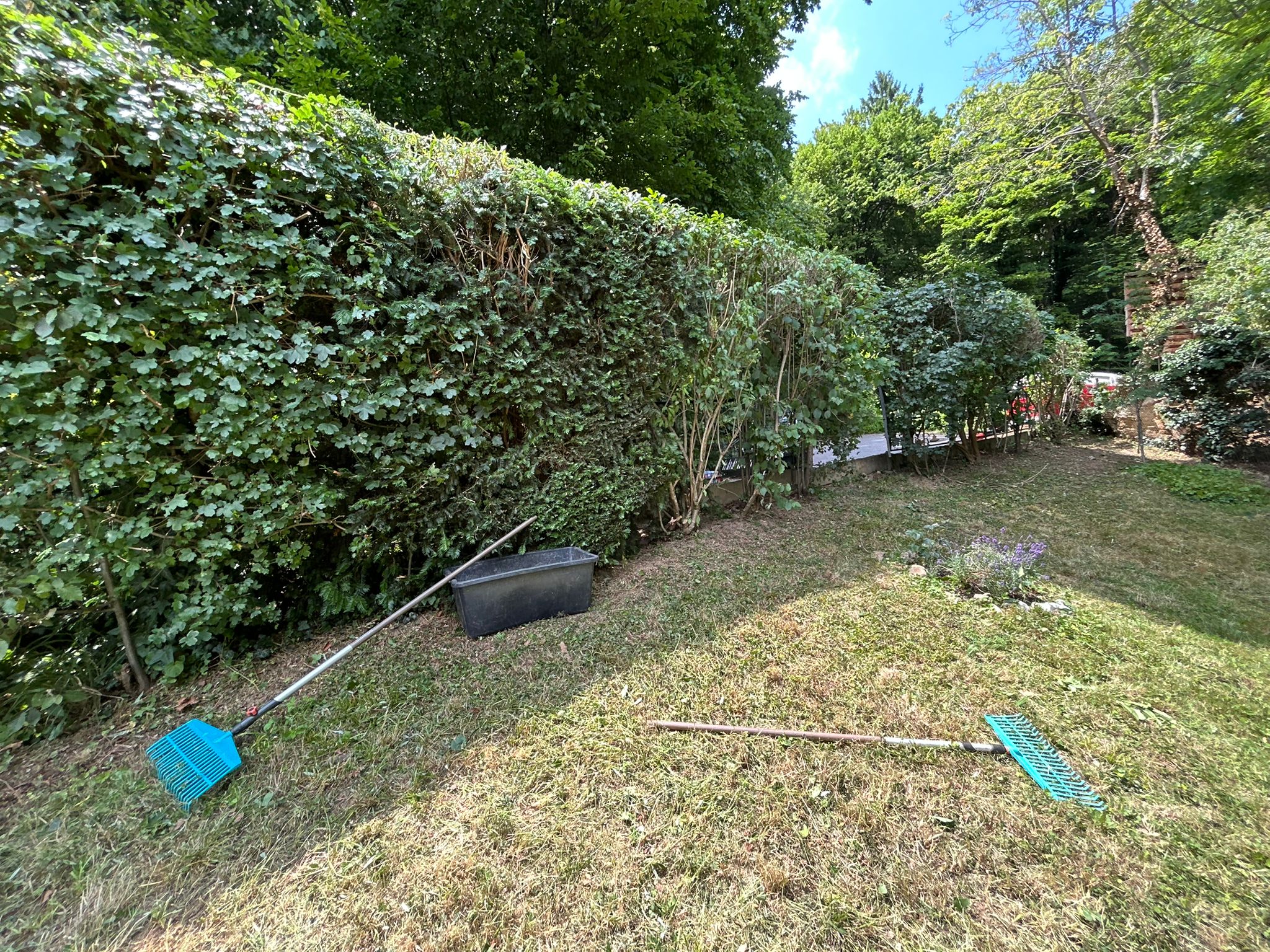 Gartenpflege in Graz – Beispielbild